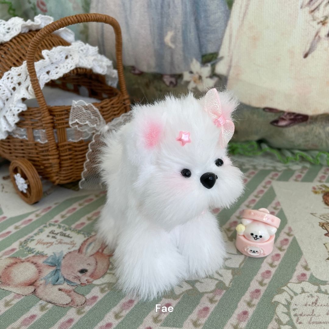 Adorable Puppy Collection