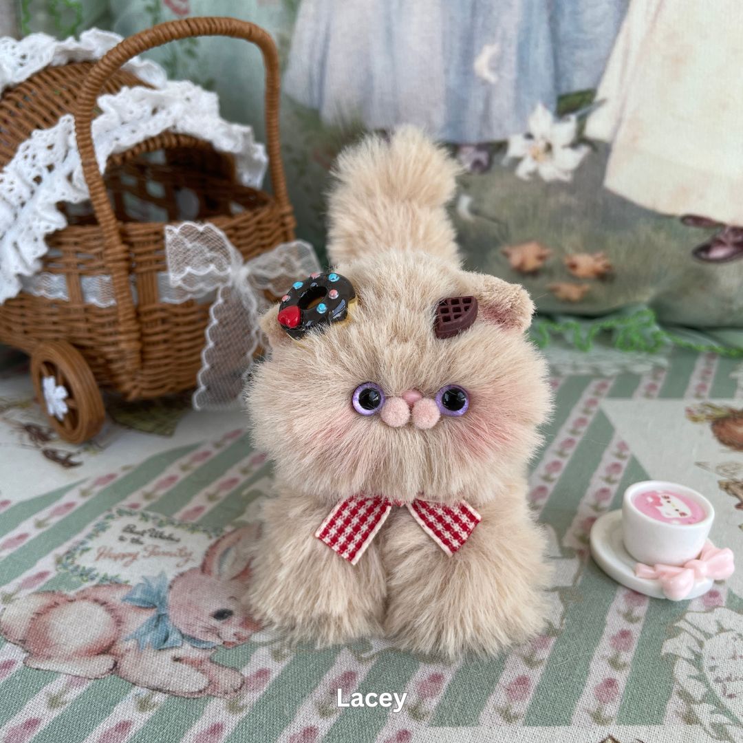 Brown Kitten Collection