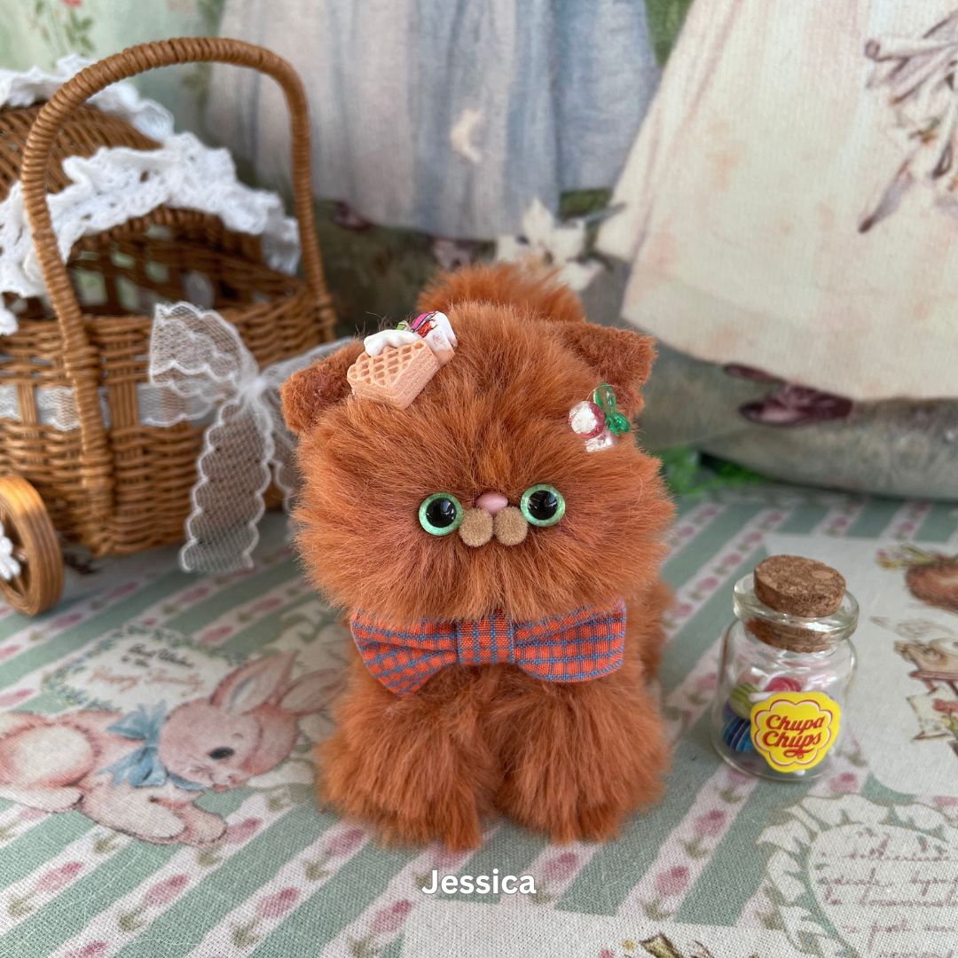 Brown Kitten Collection