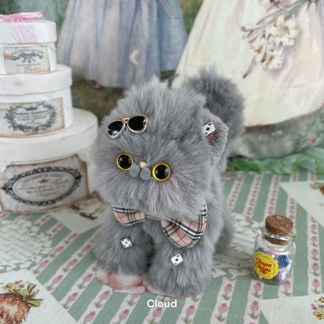 Dress-Up Kitten Collection