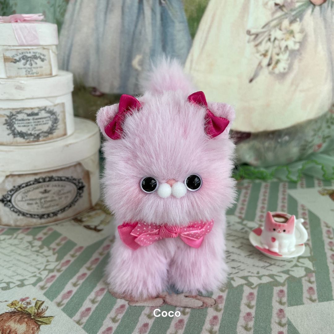 Dress-Up Kitten Collection