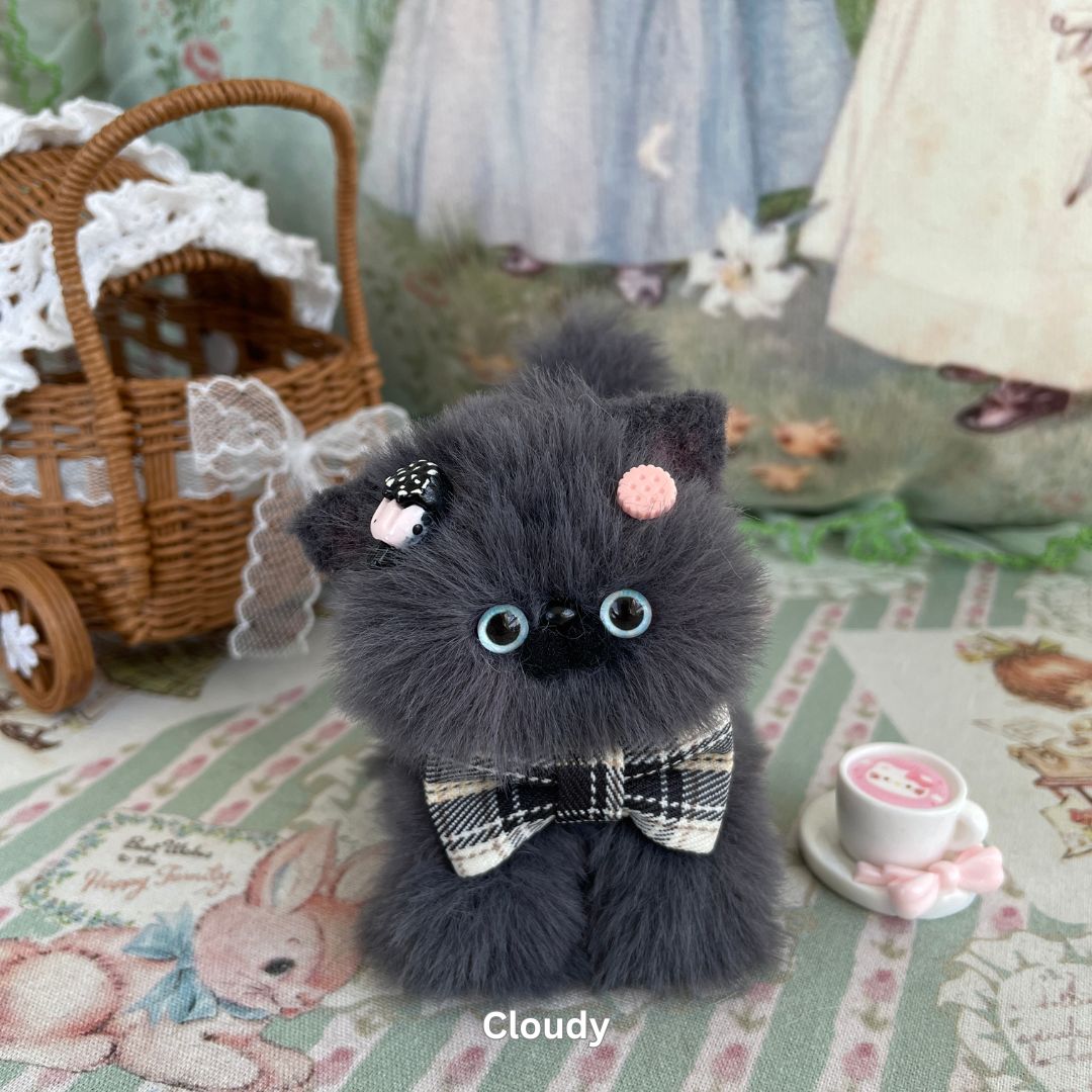 Gray Kitten Collection
