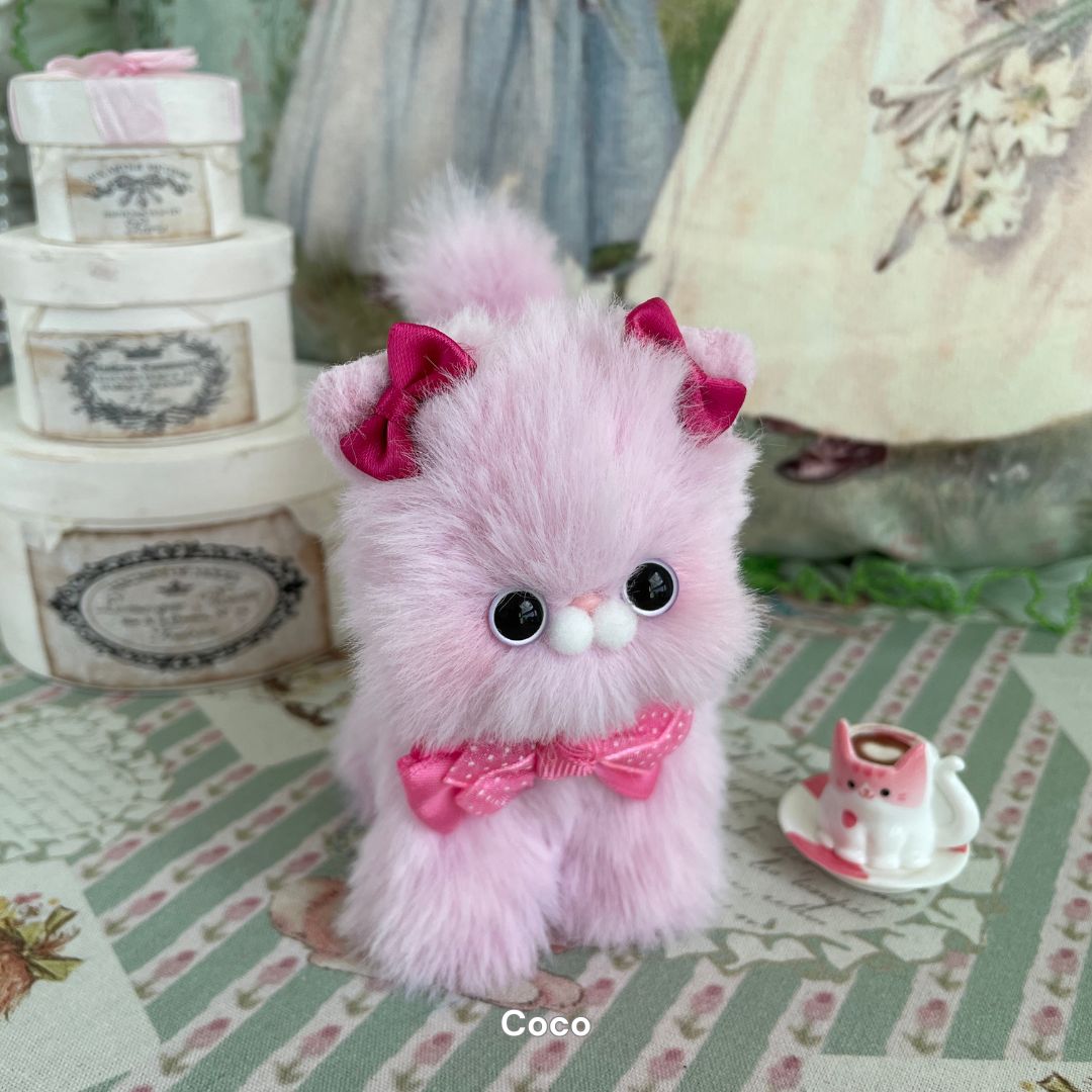 Dress-Up Kitten Collection