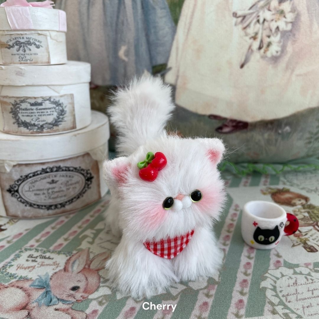 White Kitten Collection