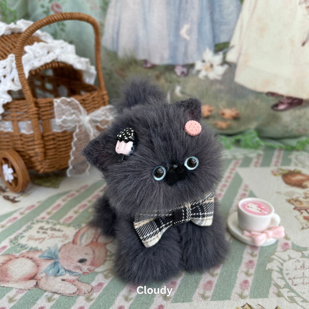 Gray Kitten Collection