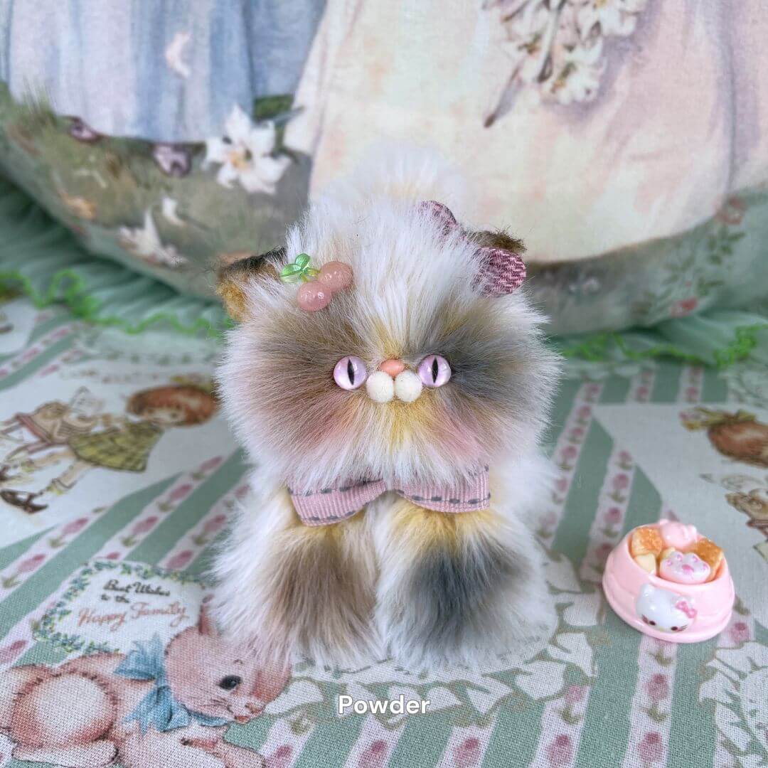 Adorable Kitten Collection