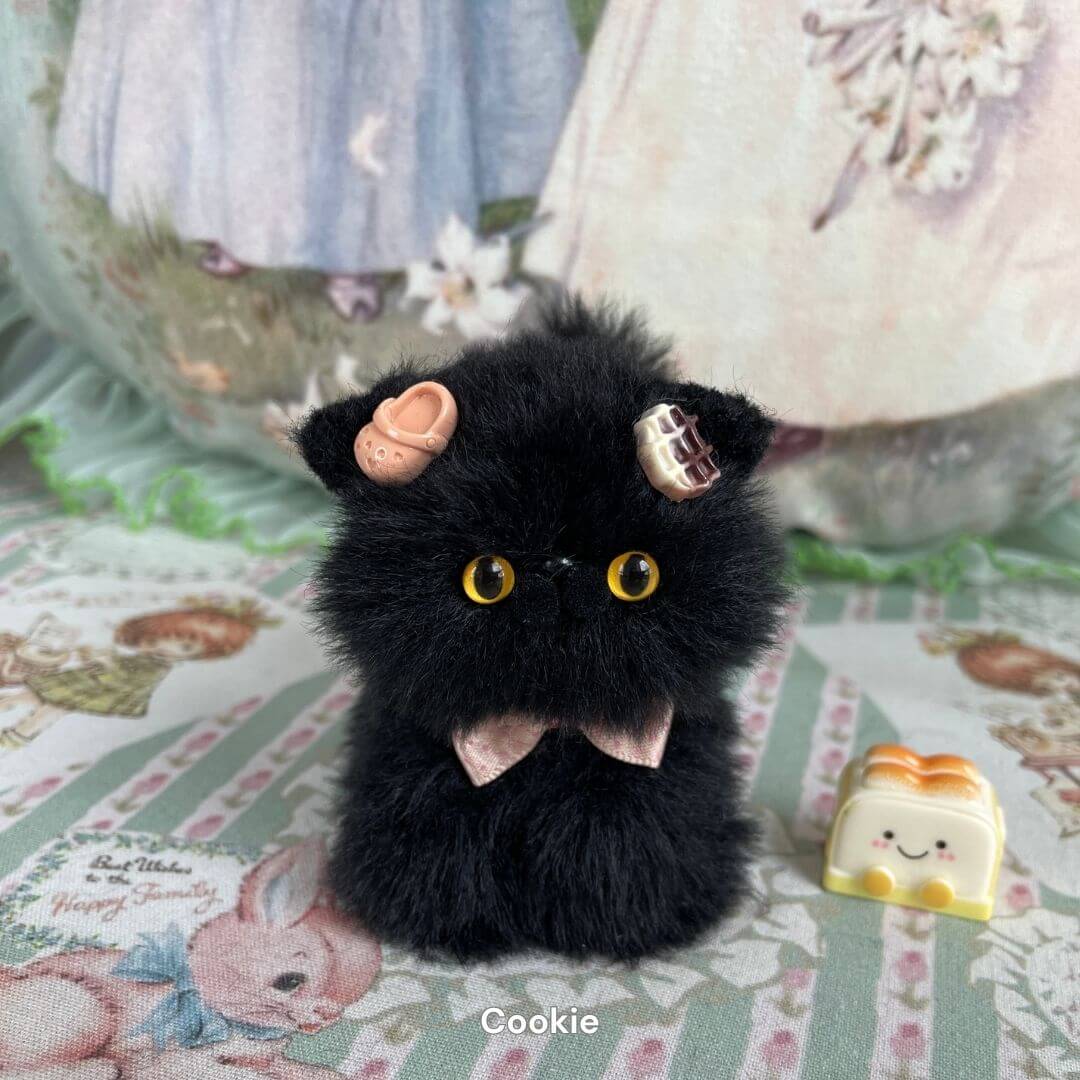Black Kitten Collection