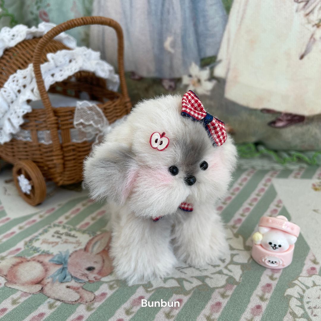 Adorable Puppy Collection