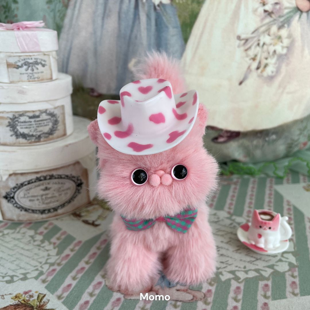Dress-Up Kitten Collection