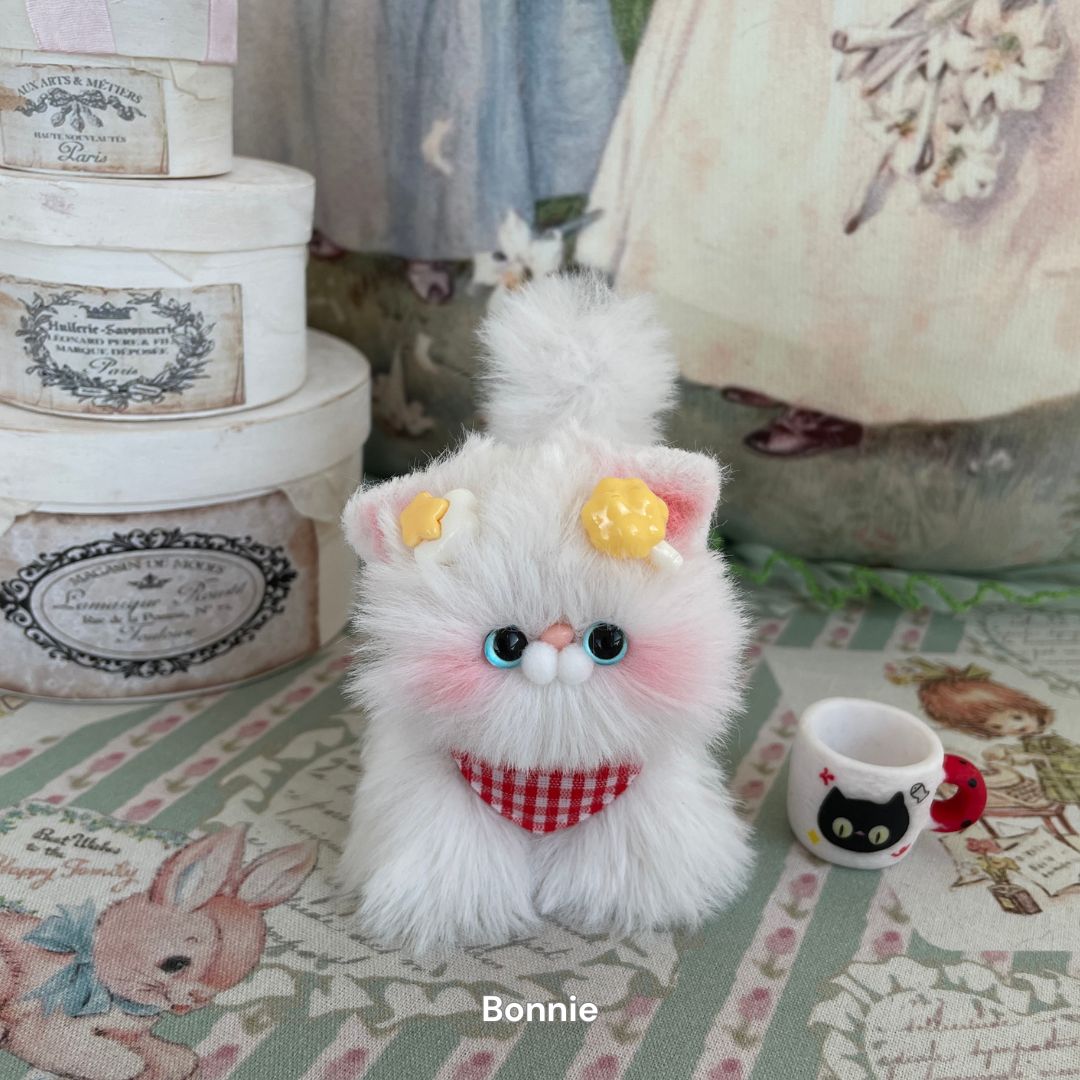 White Kitten Collection