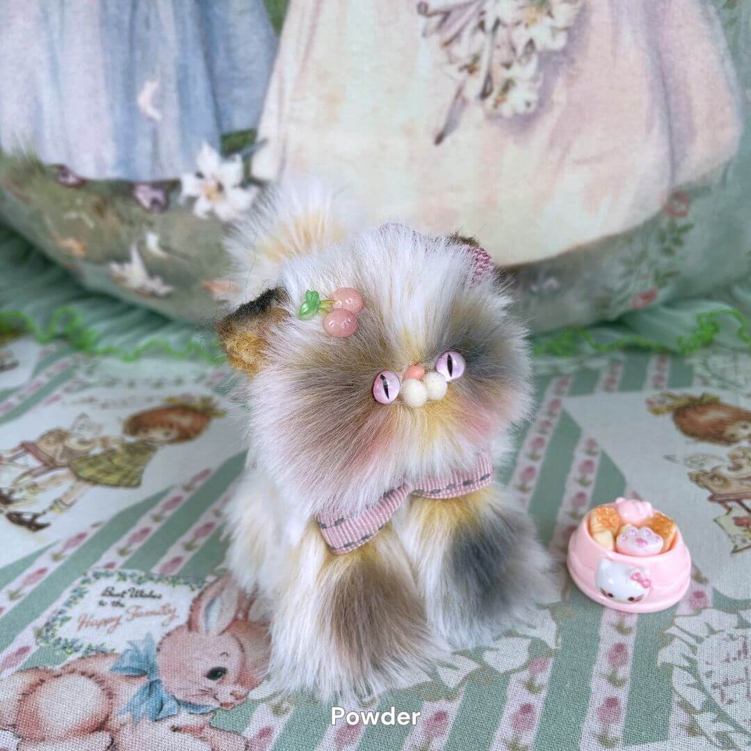 Adorable Kitten Collection