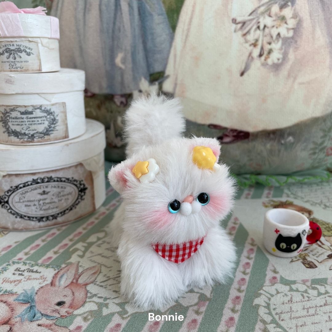 White Kitten Collection
