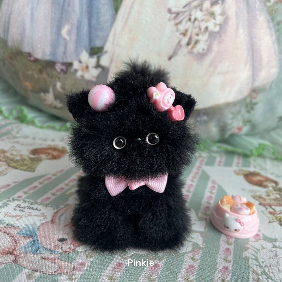 Black Kitten Collection