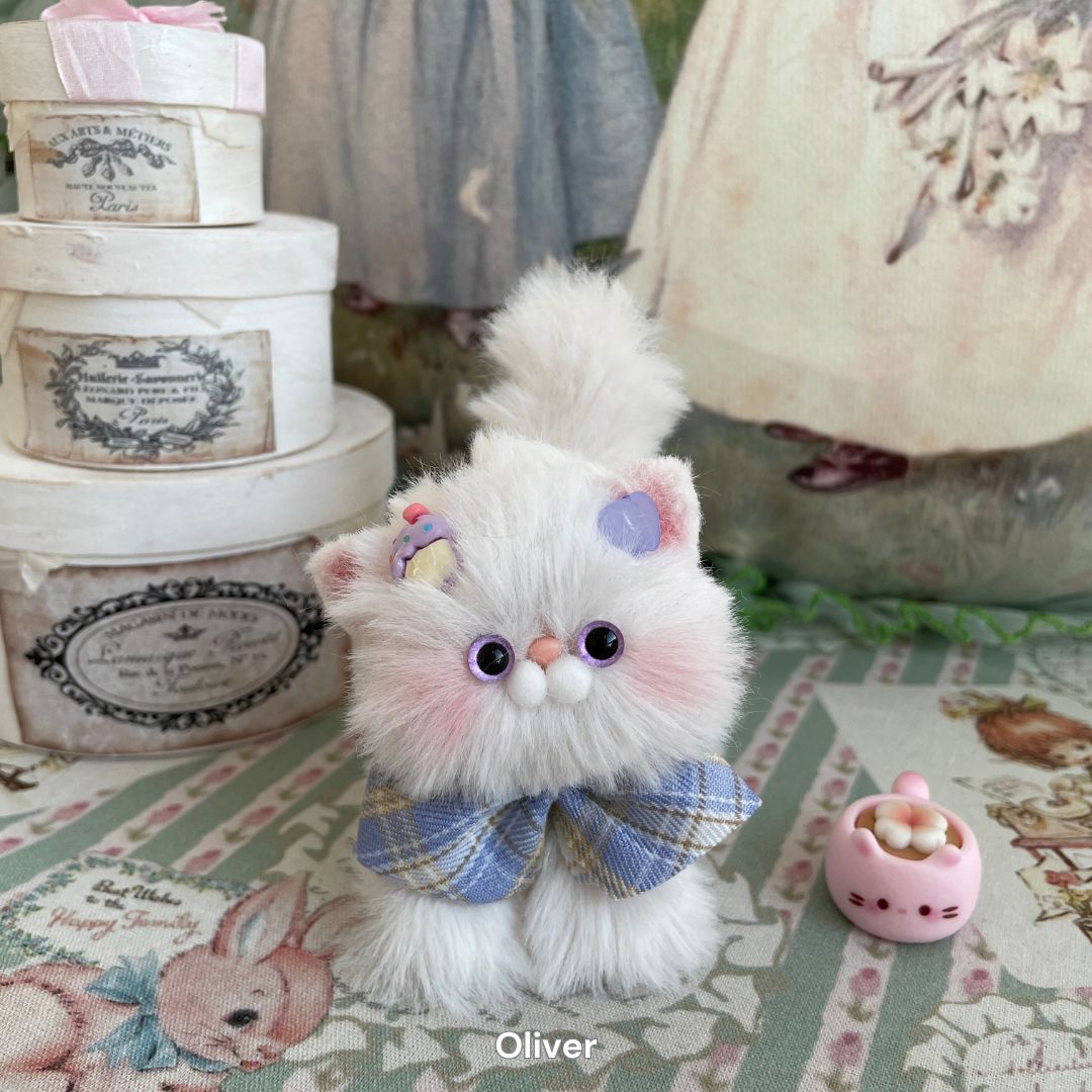 White Kitten Collection