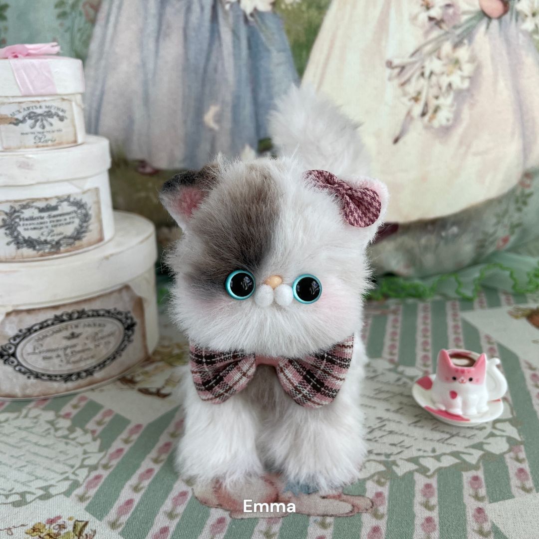 Dress-Up Kitten Collection