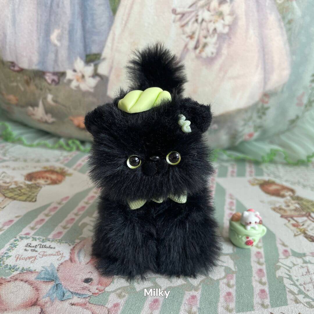 Black Kitten Collection