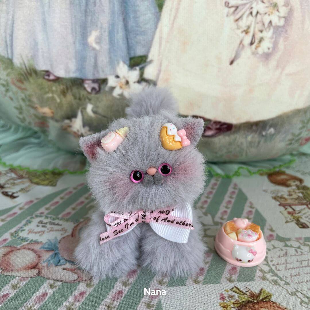 Grey Kitten Collection