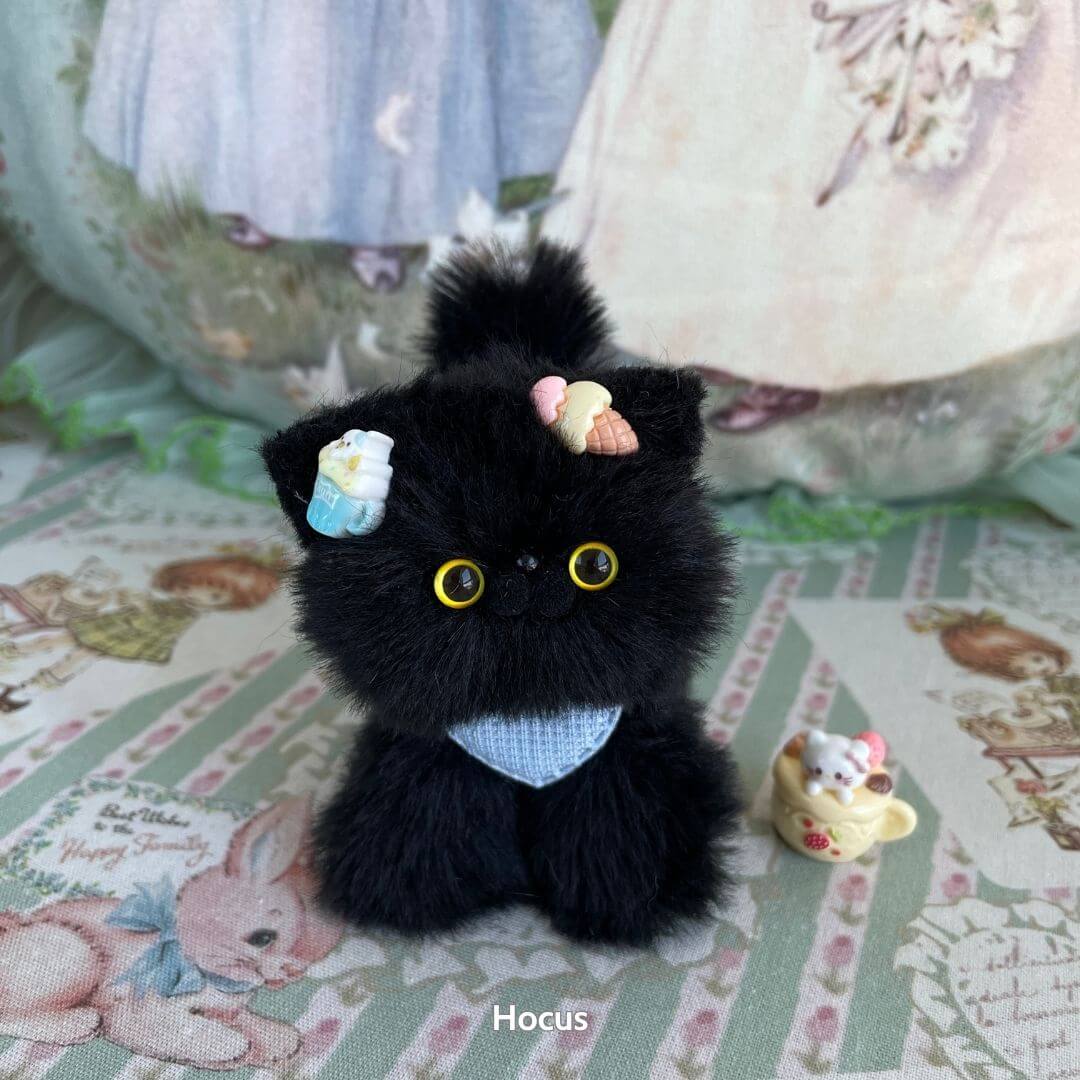 Black Kitten Collection