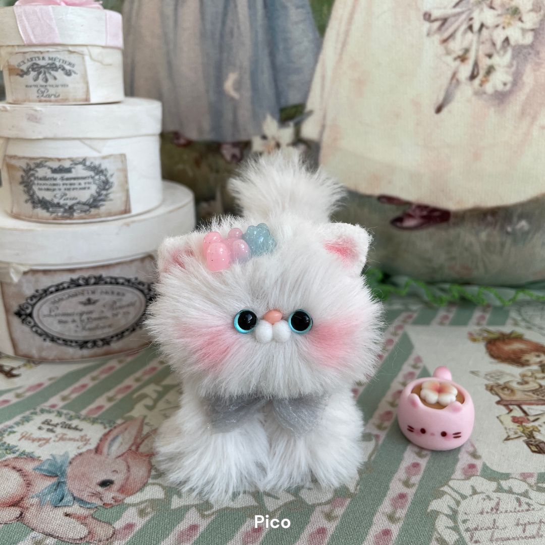 White Kitten Collection
