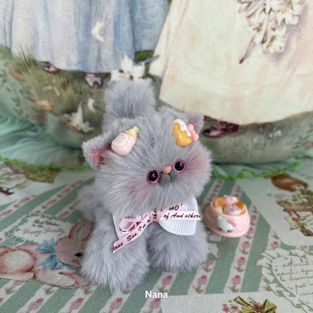 Grey Kitten Collection