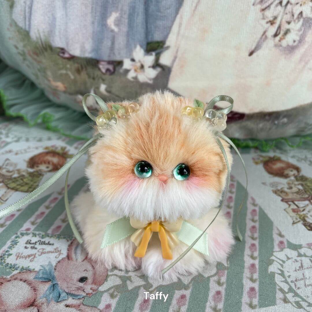 Fairy Paws Collection