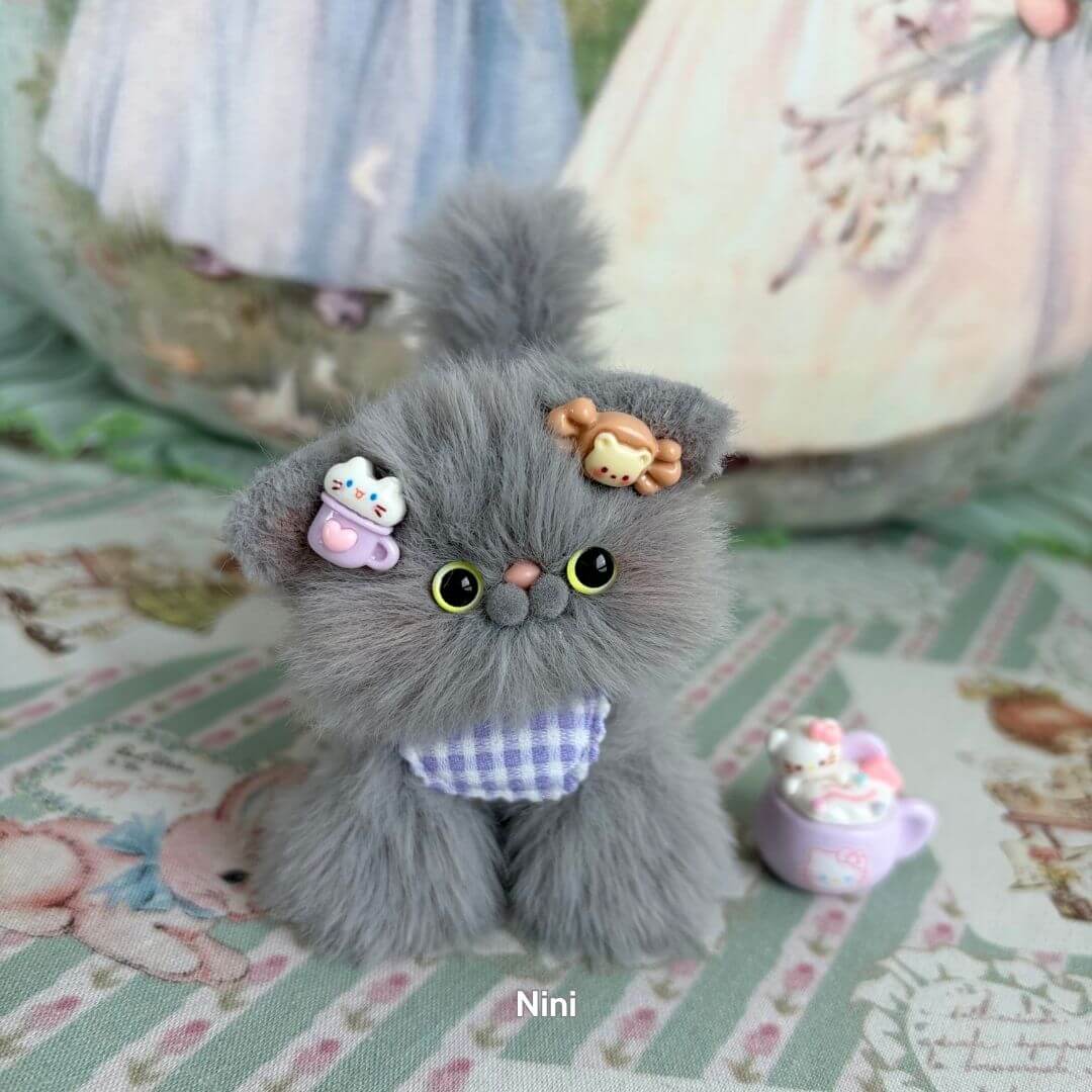 Grey Kitten Collection