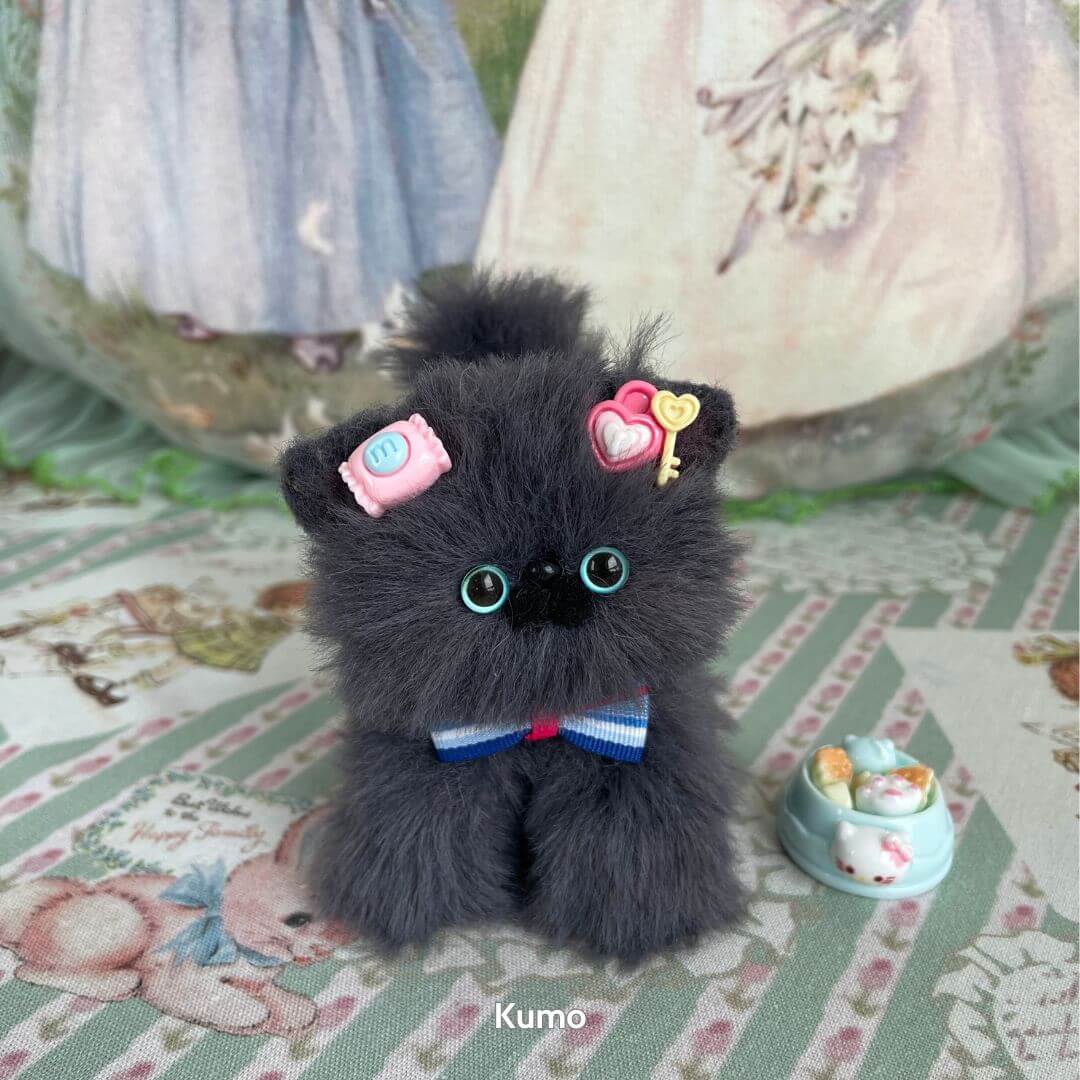 Grey Kitten Collection