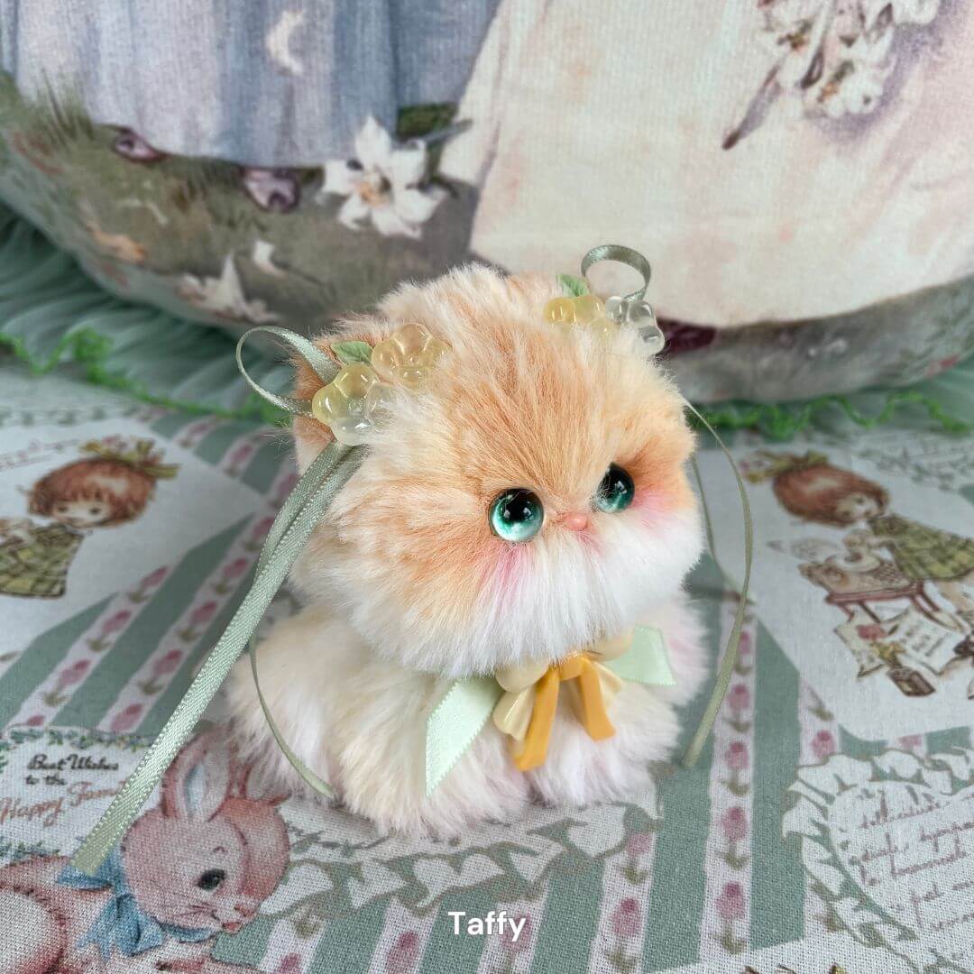 Fairy Paws Collection