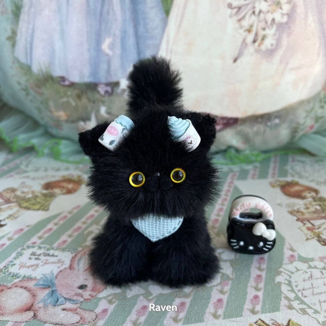 Black Kitten Collection