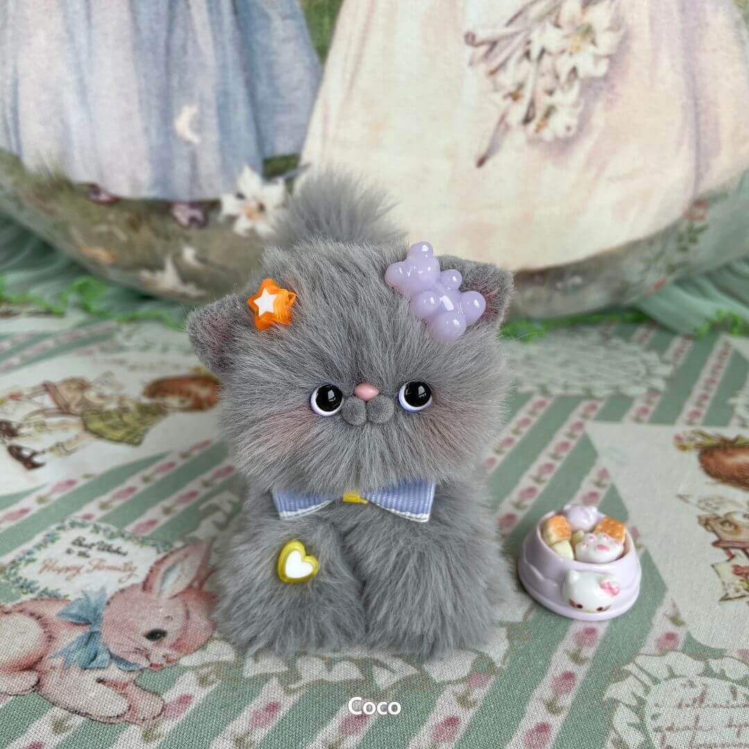 Grey Kitten Collection