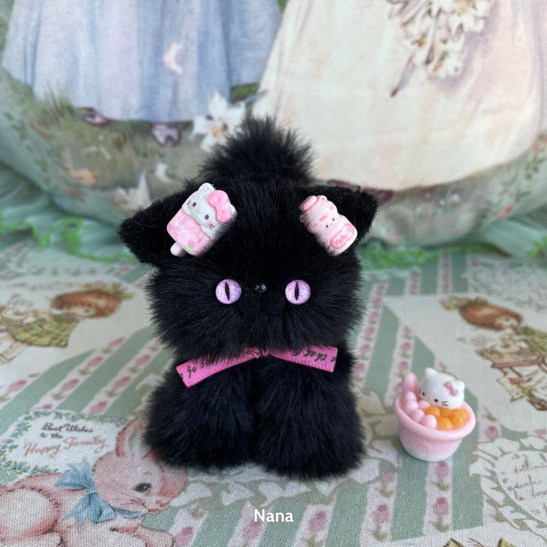 Black Kitten Collection