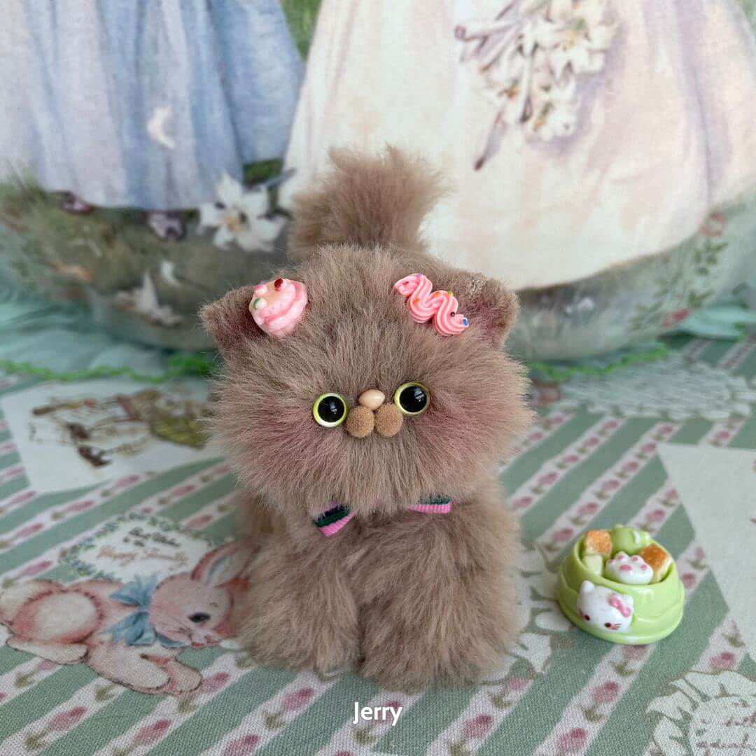 Brown Kitten Collection