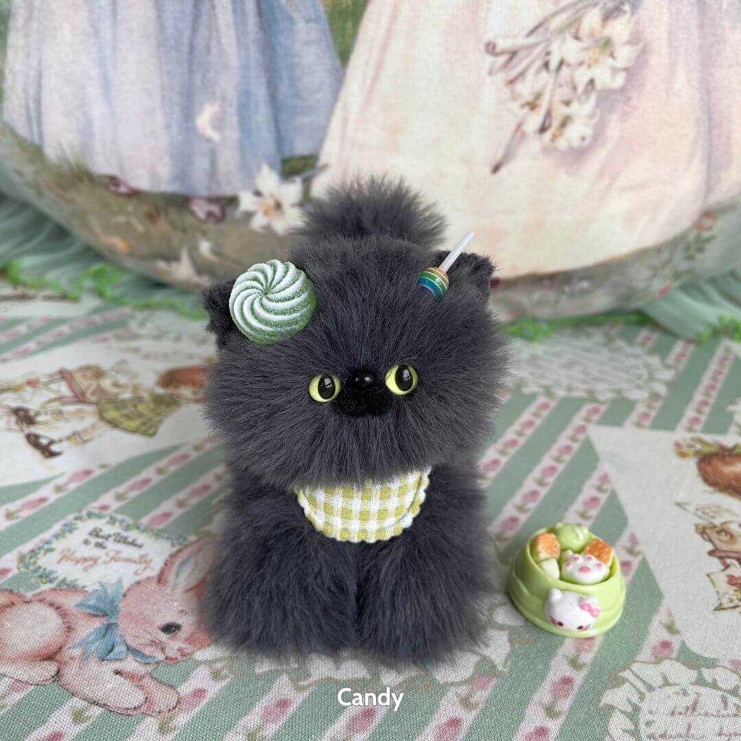 Grey Kitten Collection