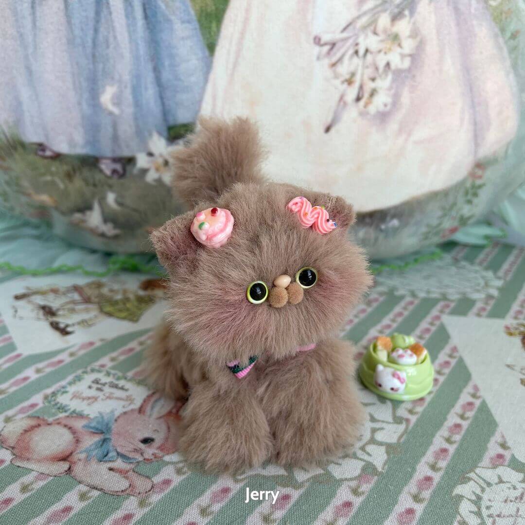 Brown Kitten Collection
