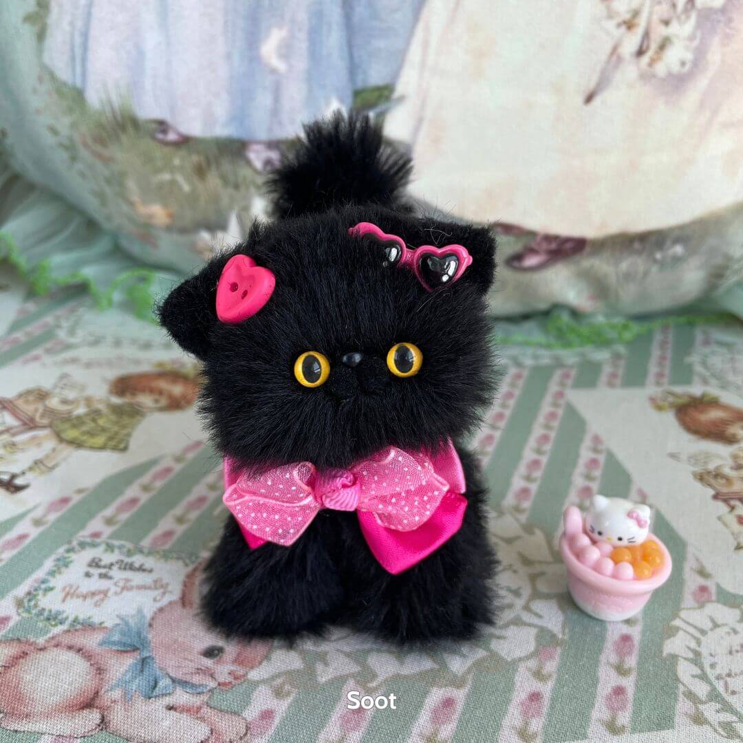 Black Kitten Collection