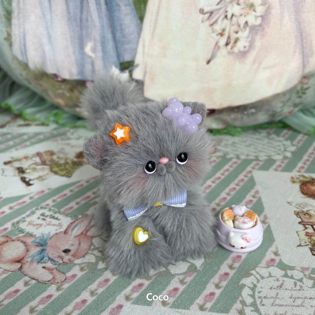Grey Kitten Collection