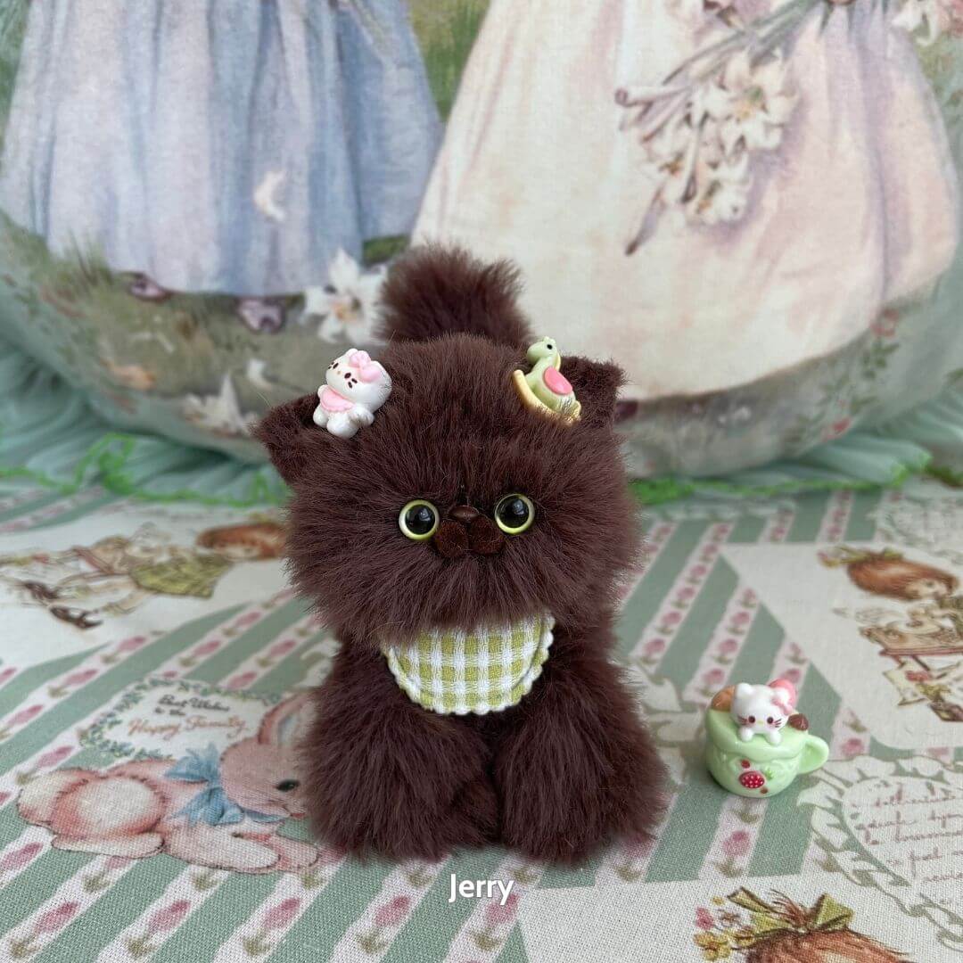 Brown Kitten Collection