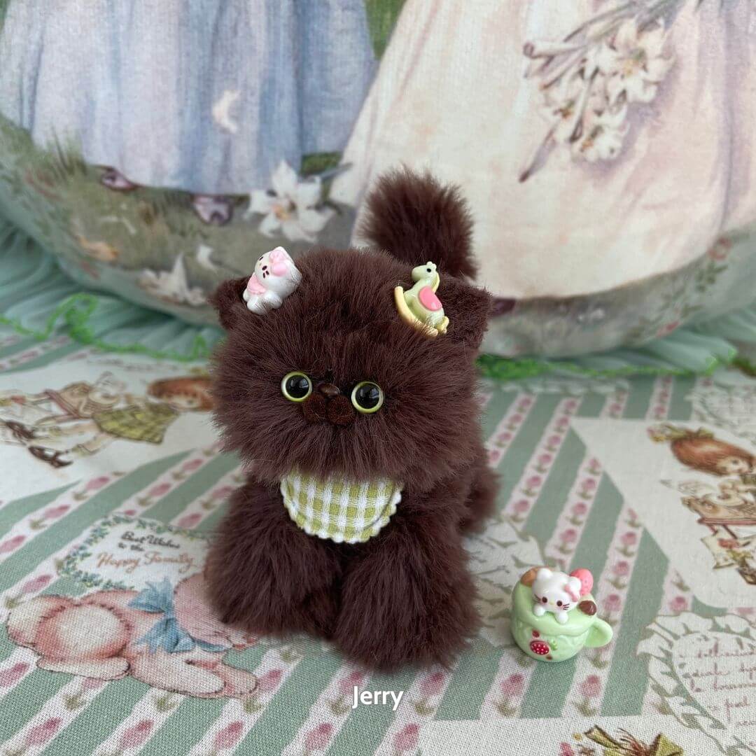 Brown Kitten Collection