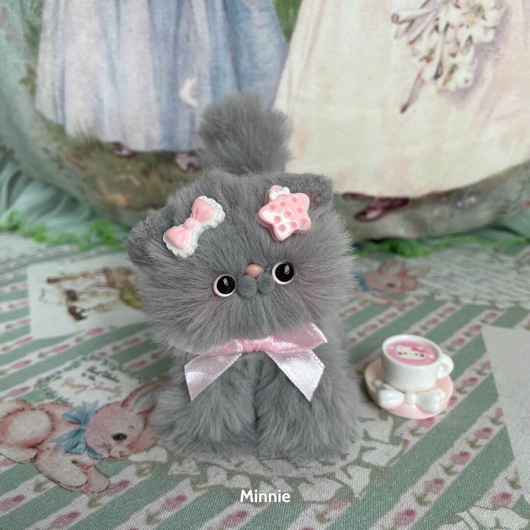 Grey Kitten Collection