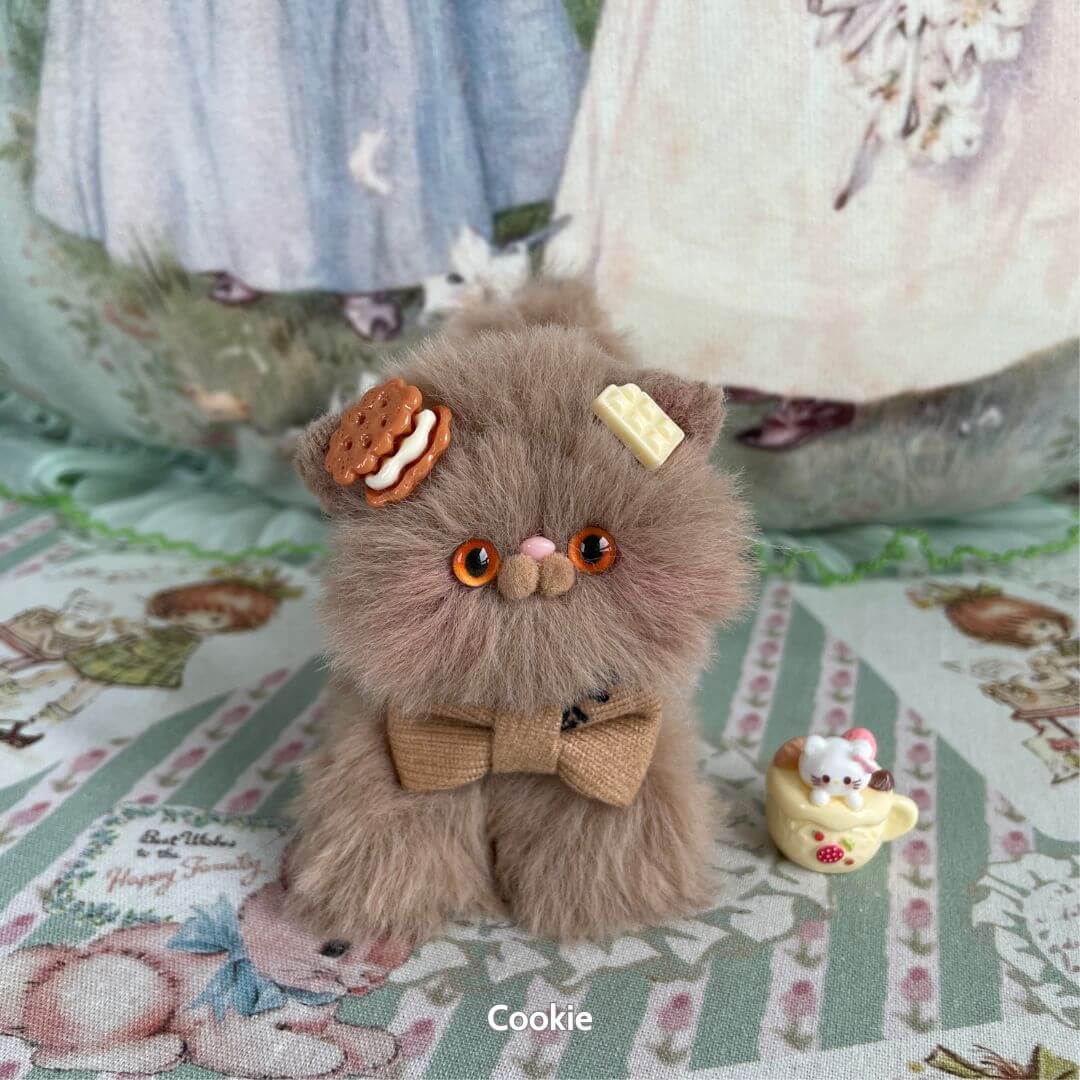 Brown Kitten Collection
