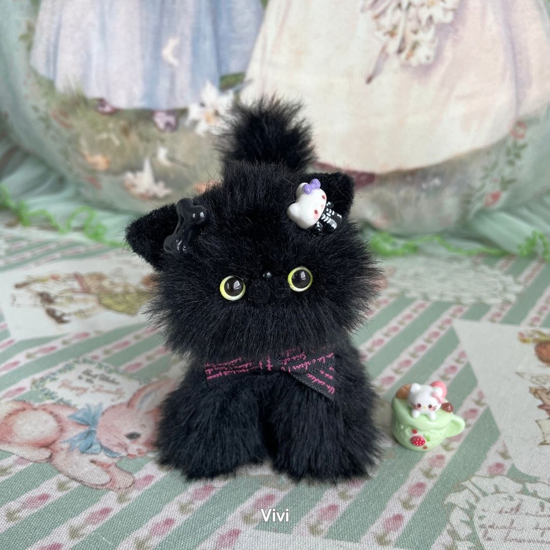 Black Kitten Collection