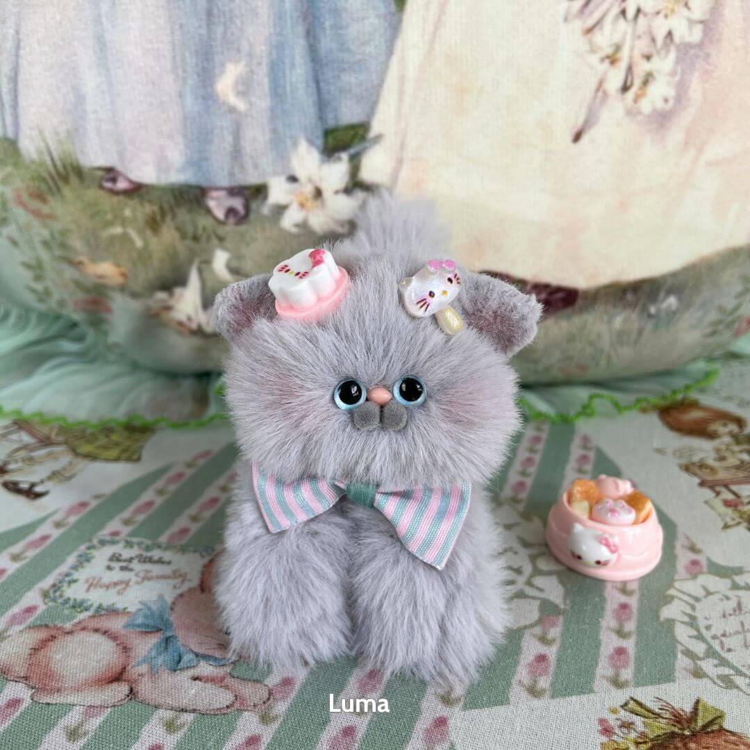 Grey Kitten Collection
