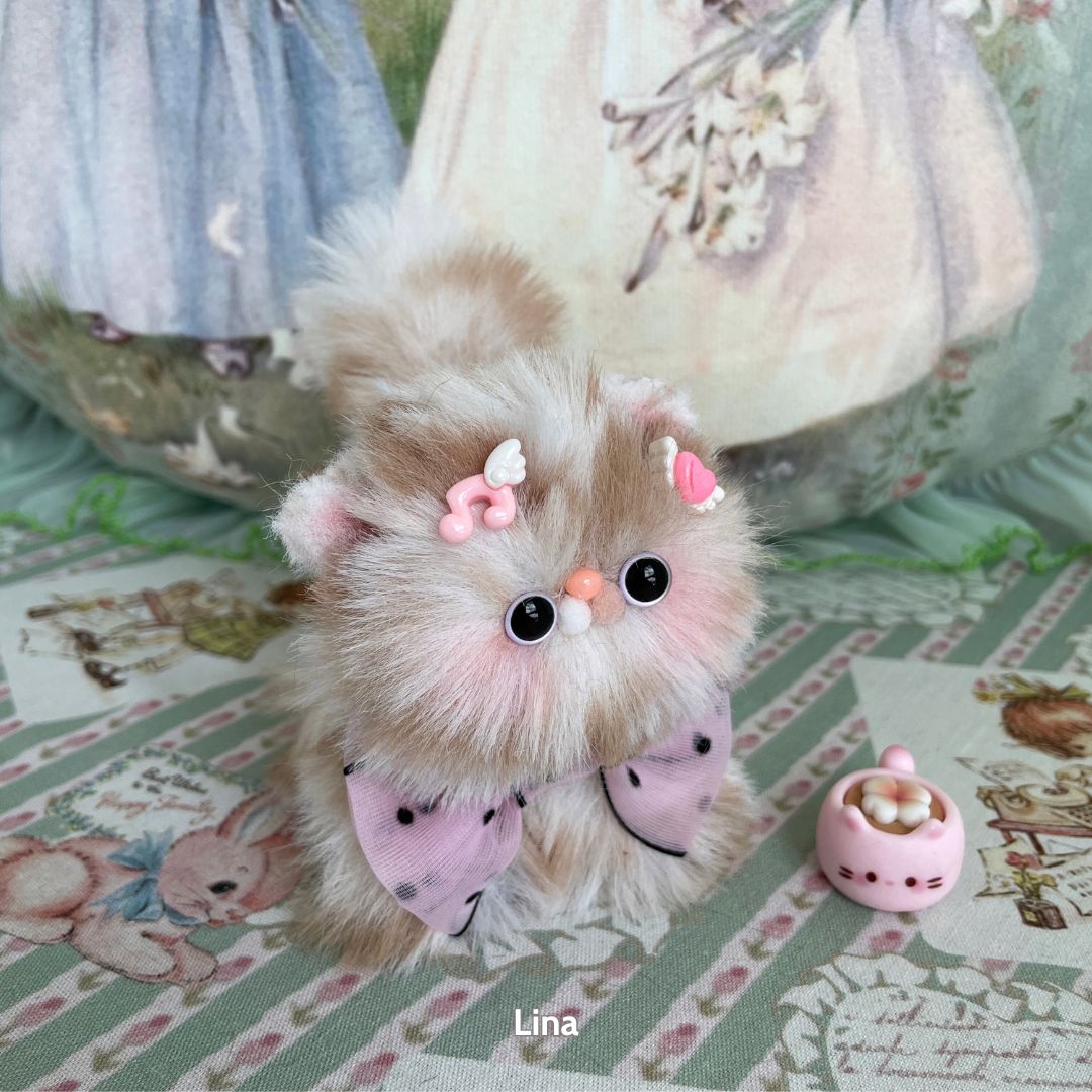Fluffy Kitten Collection