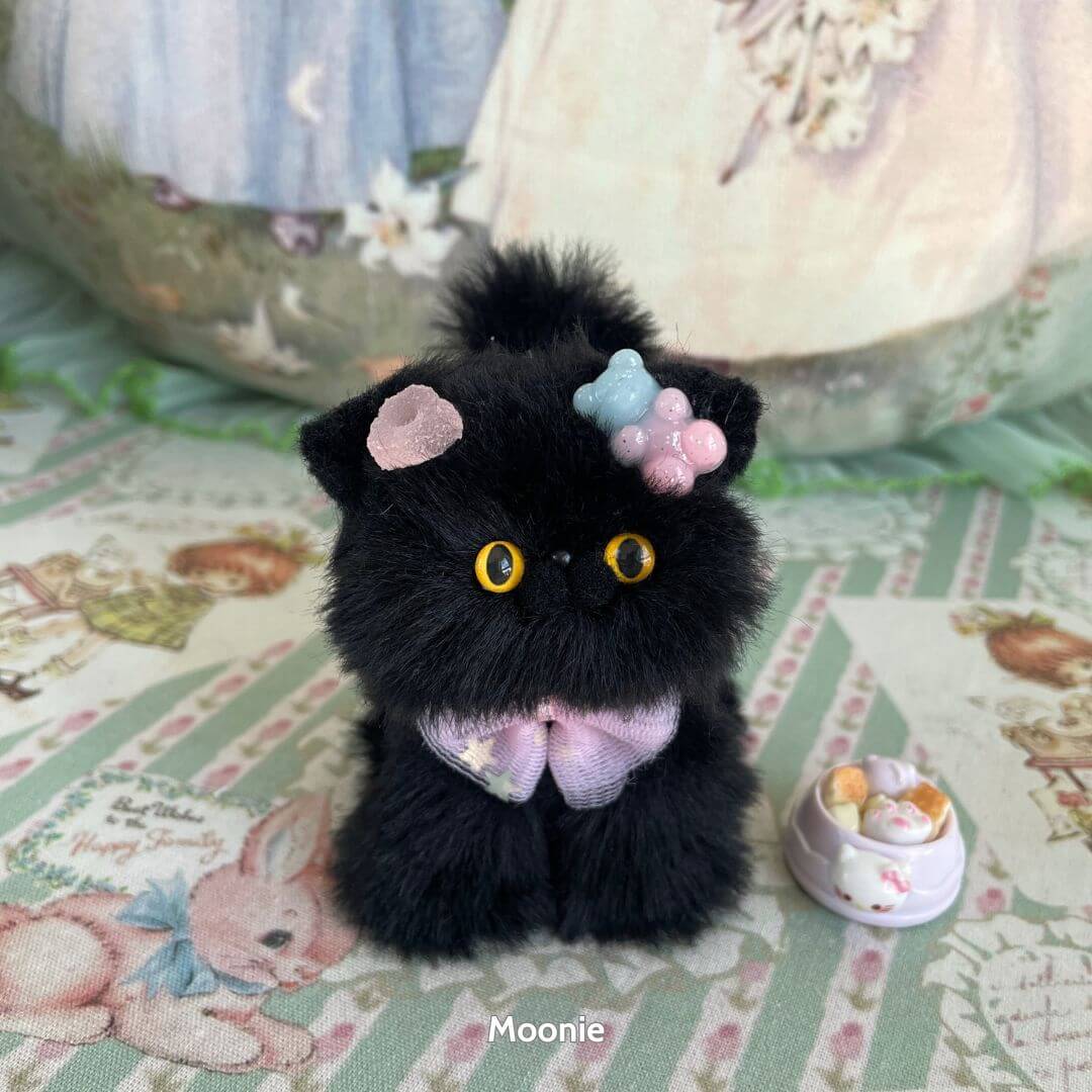 Black Kitten Collection