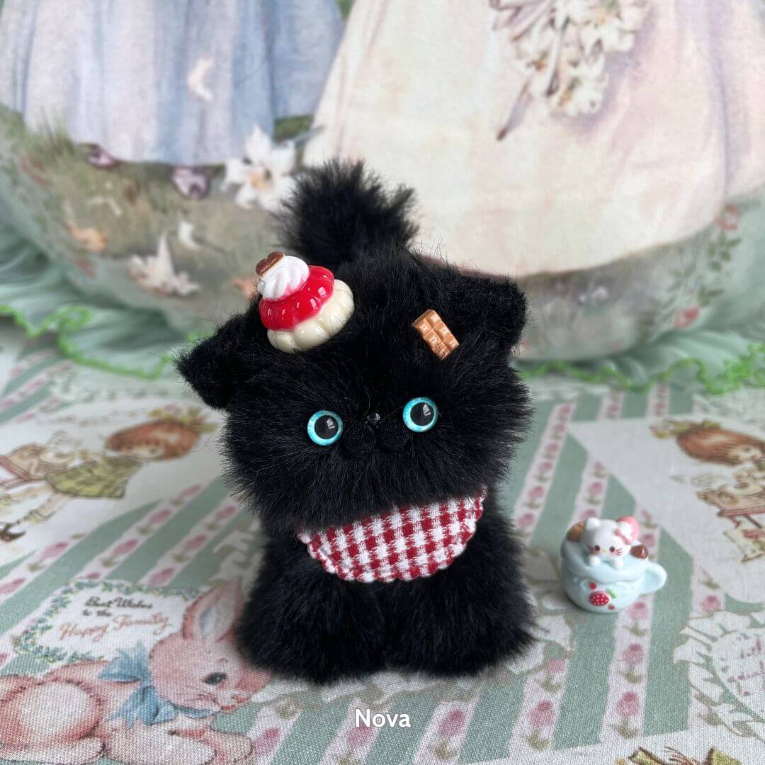 Black Kitten Collection