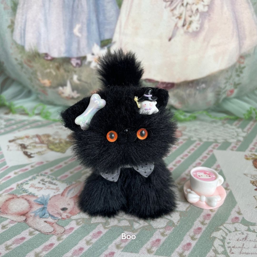 Black Kitten Collection