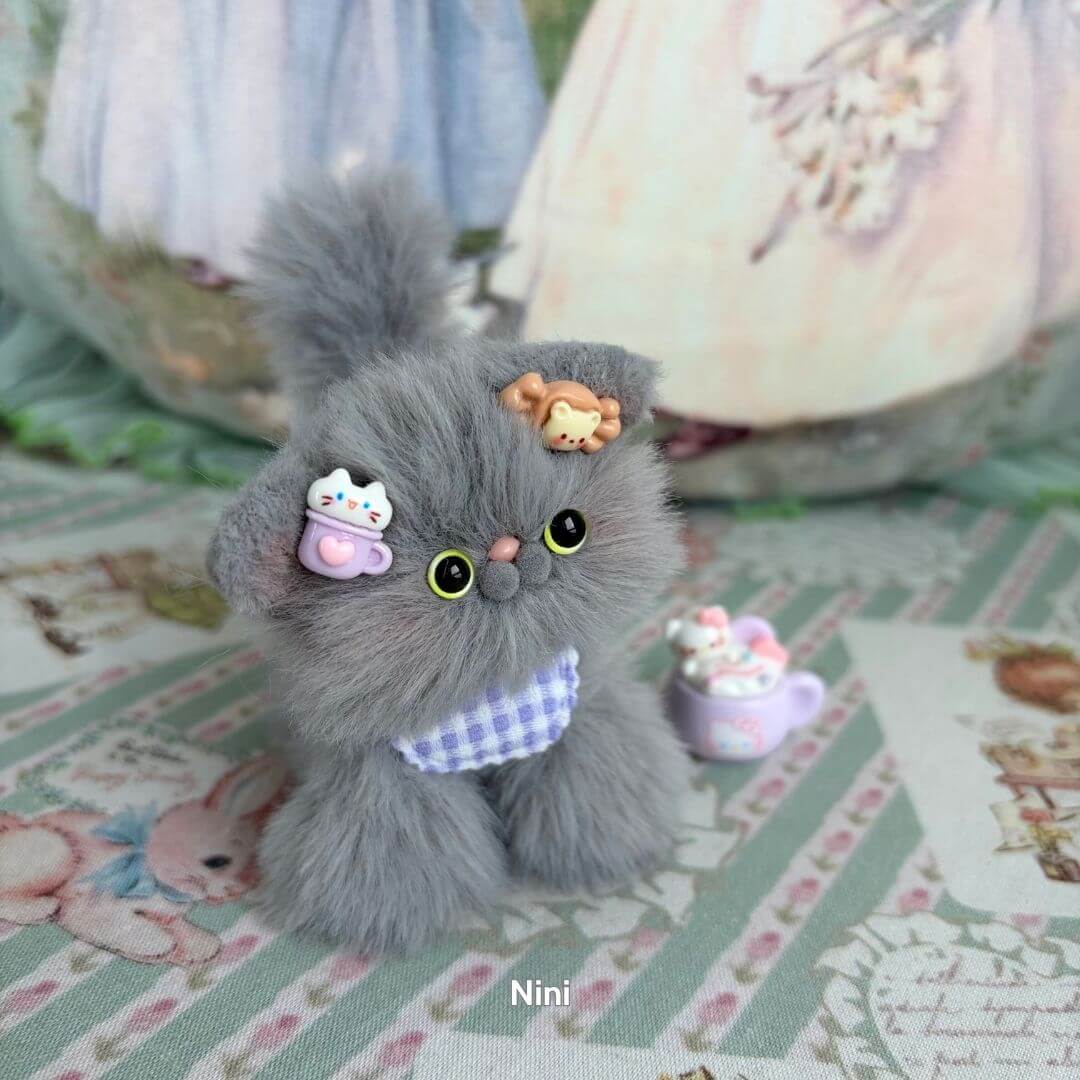 Grey Kitten Collection