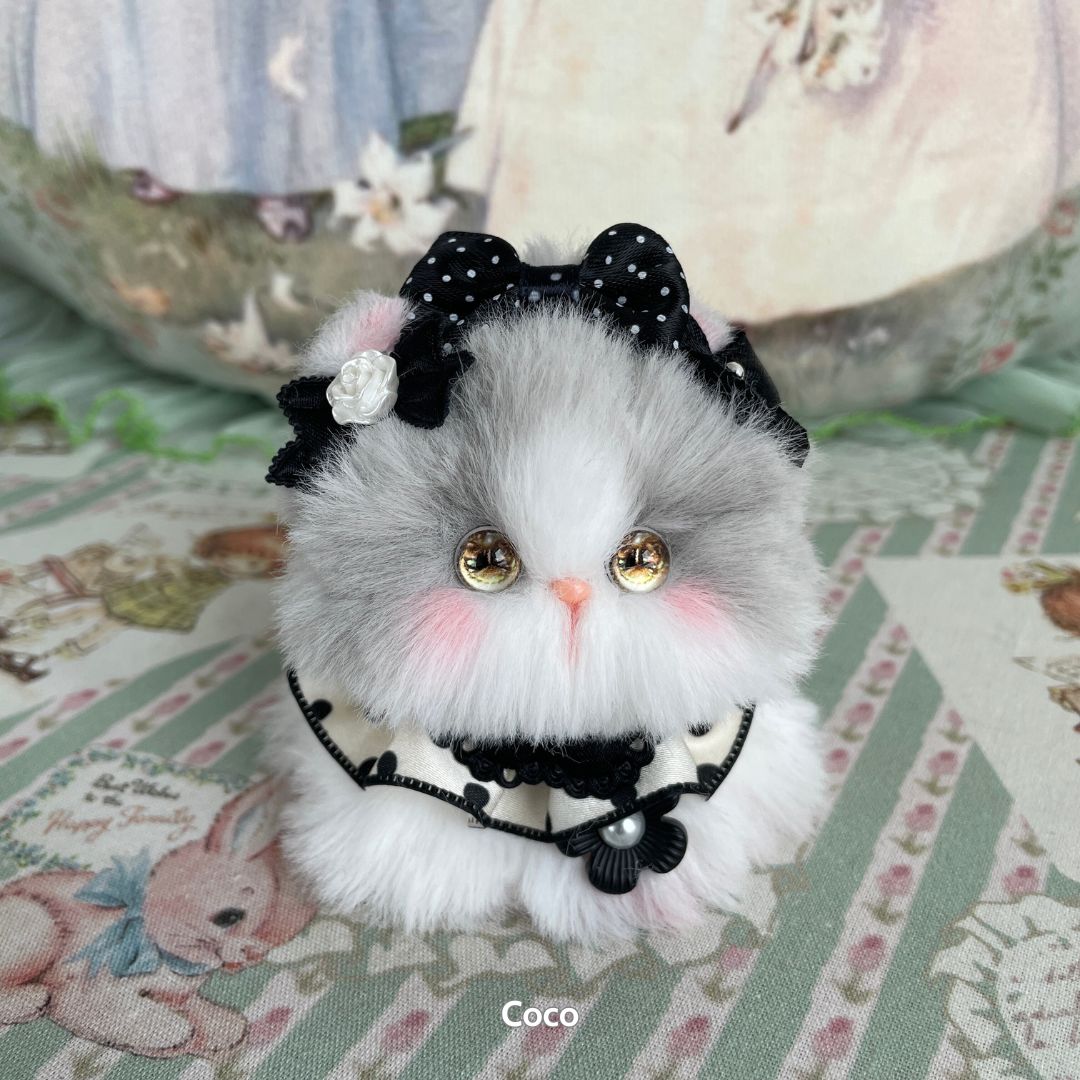 Fairy Paws Collection