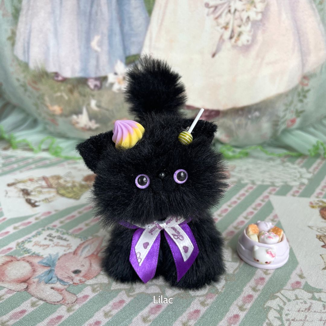 Black Kitten Collection