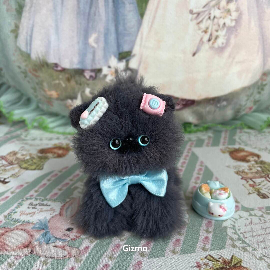 Grey Kitten Collection
